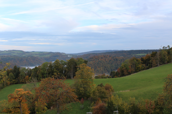Herbst